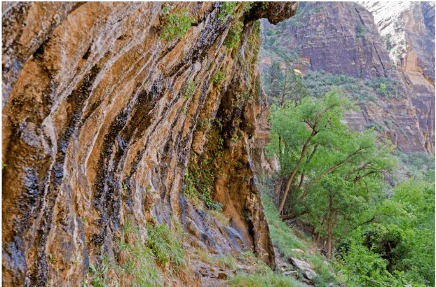 Weeping Rock